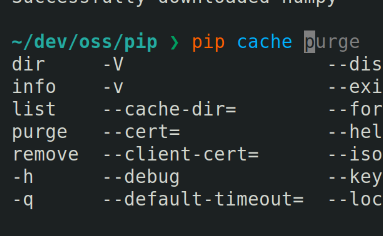 screeenshot of pip cache subcommands being offered as TAB completion options